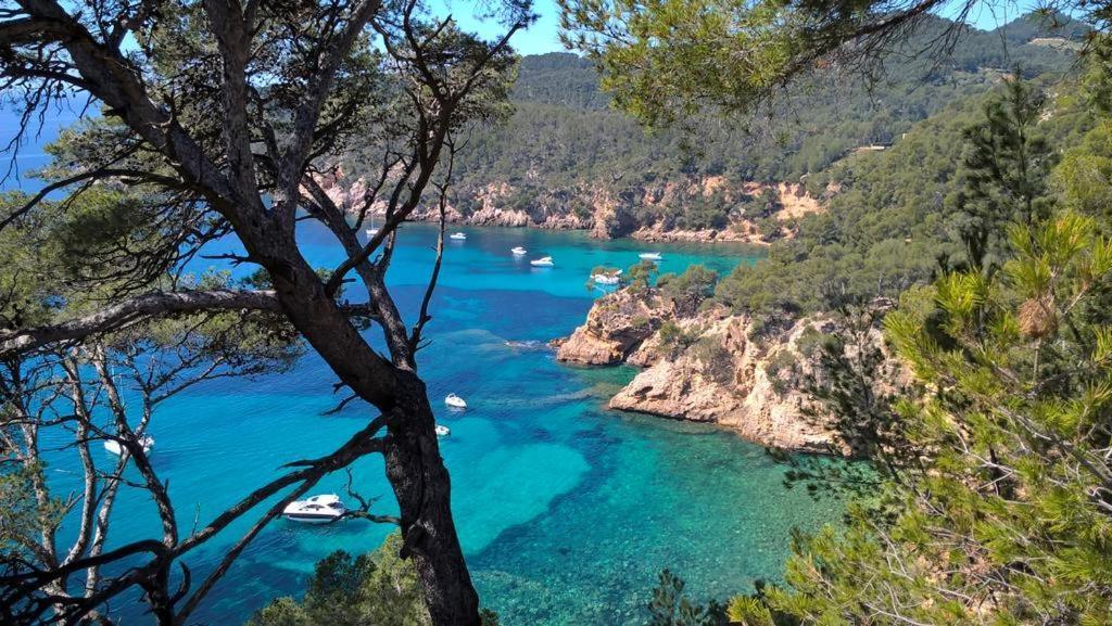 T2 Bandol Ideal Vacances 2 Etoiles מראה חיצוני תמונה